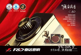 奇迹之音 奋达的承诺与深情记忆的篇章